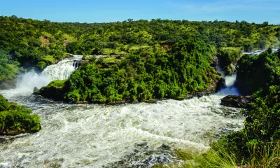 Parc national de Murchison Falls / Hoima