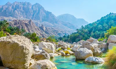 Mascate / L'oasis du Wadi Al Arbeein / Désert du Wahiba