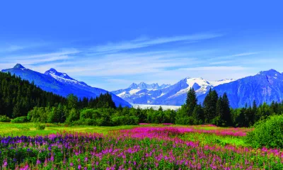 Stagway - Alaska - Etats-Unis