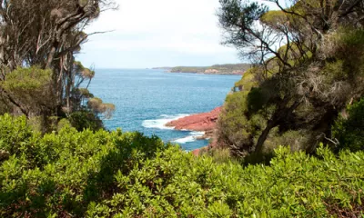 Sydney 