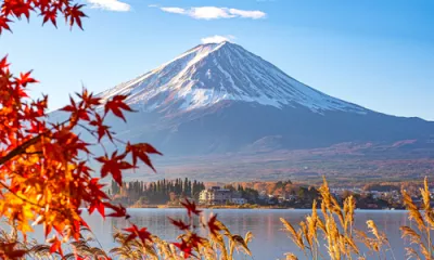 Mont Fuji (Shimizu)
