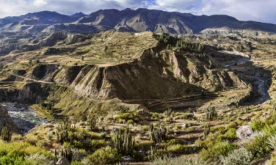 Arequipa / Canyon de Colca 