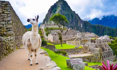 Ollantaytambo/Machu Picchu/Aguas Calientes/Cusco