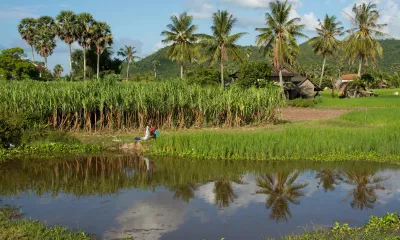Battambang