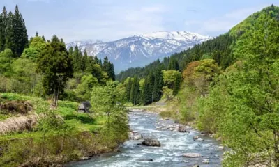 Sakata