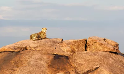 Bashay / Cratère du Ngorongoro / Olduvai Ndogo (72 km) 