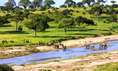 Olduvai Ndogo / Serengeti (112km)