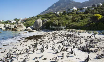 Le Cap (Afrique du sud)