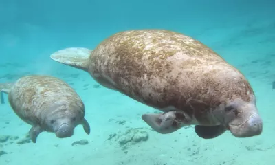 Bacalar / Akumal