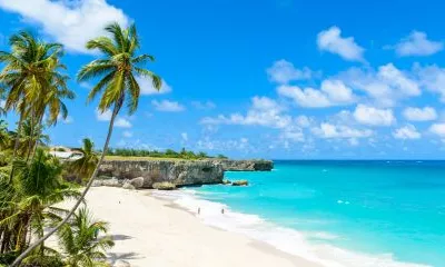 River Bay (Antigua-et-Barbuda)