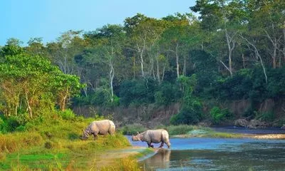 Bhaktapur / Chitwan (190 km - 7h)