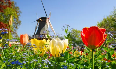 Amsterdam