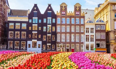 Ville de départ* / Amsterdam