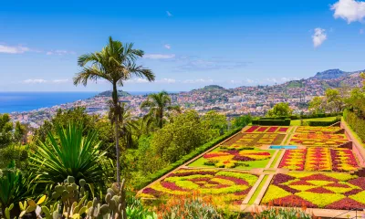 Funchal : Découverte de la ville et de ses jardins