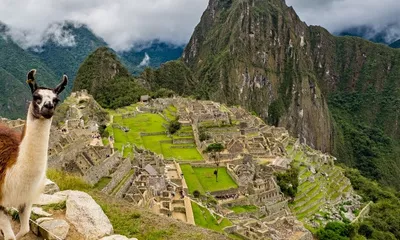 Machu Picchu / Cusco