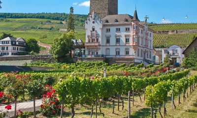 Rüdesheim (Allemagne)
