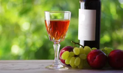 Dégustation de vin chez un producteur local