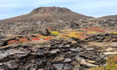 Îles Chinese Hat & Rabida