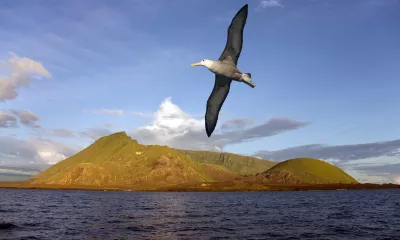 Île Isabela