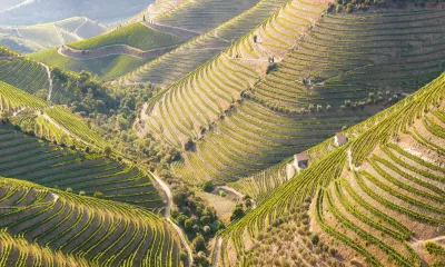 Vega Terrón / Barca d’Alva (Portugal)