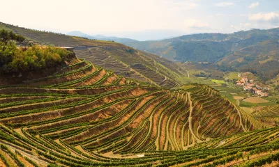 Porto / Peso de Regua (Espagne)