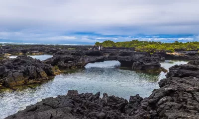 Île Isabela