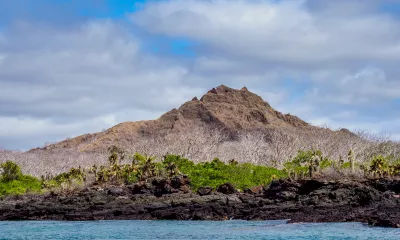Île Santa Cruz