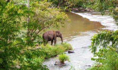 Navigation / Pakbeng / Navigation