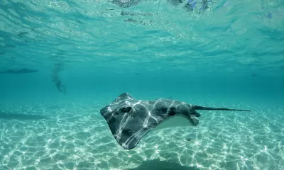 Ville de départ* / Papeete