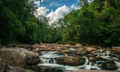 Premiers pas dans la jungle de Taman Negara