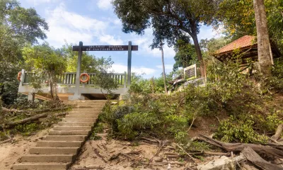 Immersion dans la forêt tropicale de Taman Negara