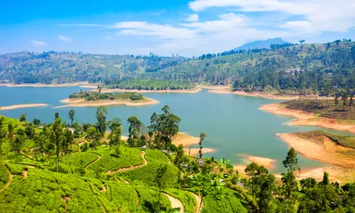 Au cœur des plantations de thé et des montagnes de Ceylan