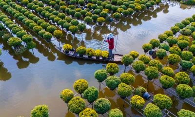 Navigation - Sa Dec - Région de Ban Tre (Vietnam)