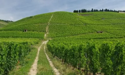 Tain-l'Hermitage