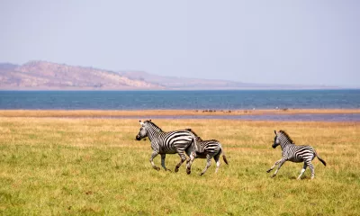 Lac Kariba - Parc national de Matusadona