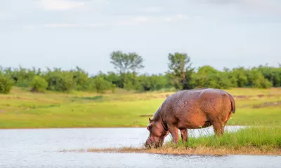 Kasane - Lac Kariba