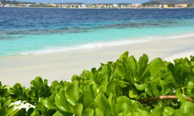Kralendjik (Bonaire)