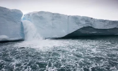 Brasvellbreen