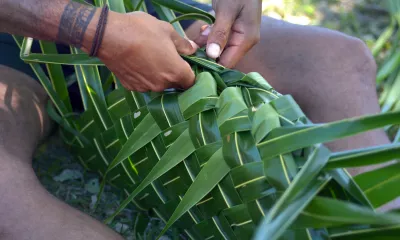 Naukacuvu
