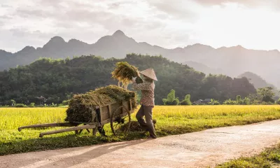 Mai Chau
