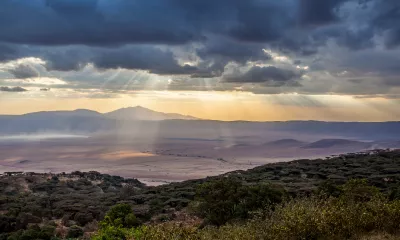 Safari au cœur du cratère du Ngorongoro