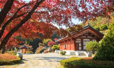 Séoul / Yongin / Suwon / Andong