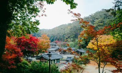 Andong / Daegu