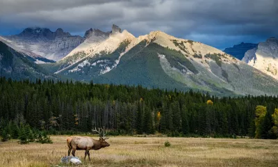 À travers les grandes prairies canadiennes