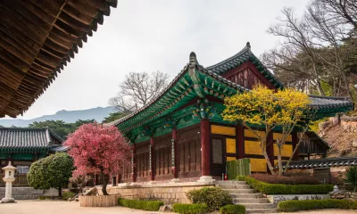 Gyeongju / Busan
