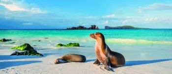 Galápagos : Aux origines de la vie