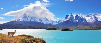 Expédition Patagonie: Voyage au bout du monde
