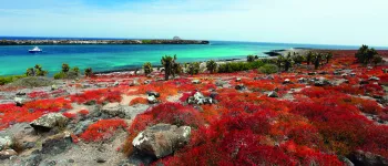 Croisière aux Galápagos : voyage vers les origines de la vie