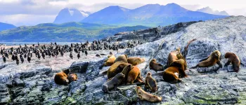 Patagonie Terre de Feu et fjords chiliens avec Paris Match