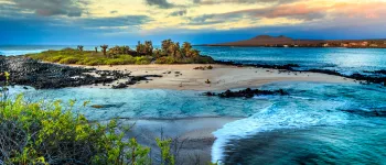 Croisière aux Galápagos : cap sur le paradis terrestre